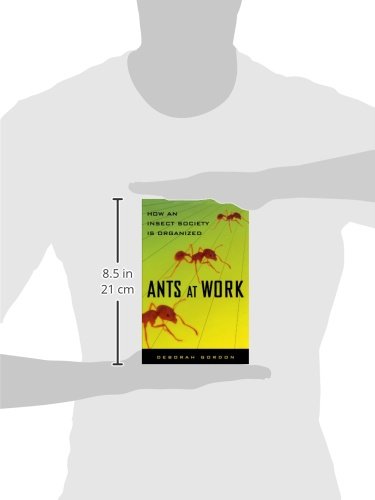 Ants At Work: How An Insect Society Is Organized