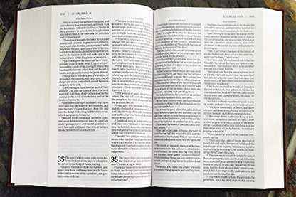 KJV, Amplified, Parallel Bible, Large Print, Hardcover, Red Letter: Two Bible Versions Together for Study and Comparison