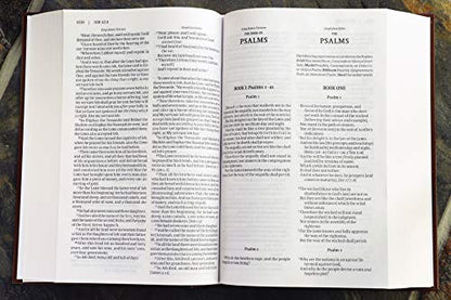 KJV, Amplified, Parallel Bible, Large Print, Hardcover, Red Letter: Two Bible Versions Together for Study and Comparison